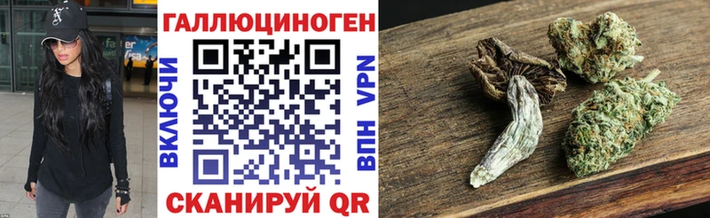 купить   Куса  Галлюциногенные грибы мицелий 